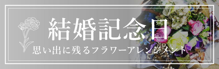 �뺧��ǰ��