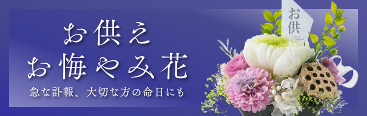 ��������������߲�