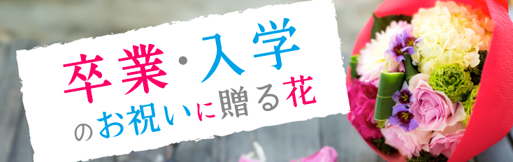 ´�ȡ�����