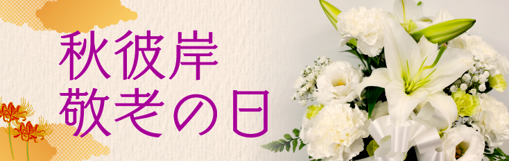 ����ߡ���Ϸ����