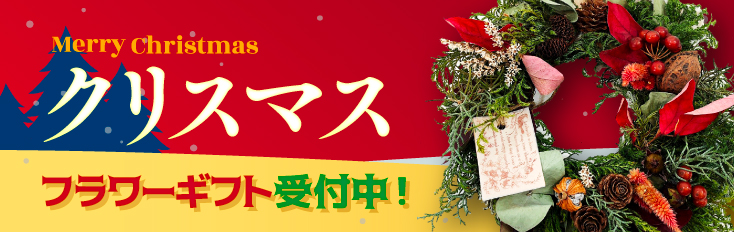 ���ꥹ�ޥ�